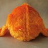 Spaniel pomarańczowy